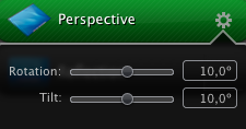Snagit.    si perspective