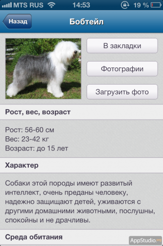 "О собаках" из App Store