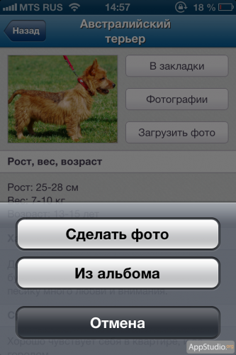 "О собаках" из App Store