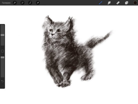 на какой айпад можно установить procreate