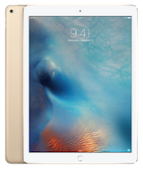 iPad Pro 12,9'' (первое поколение)
